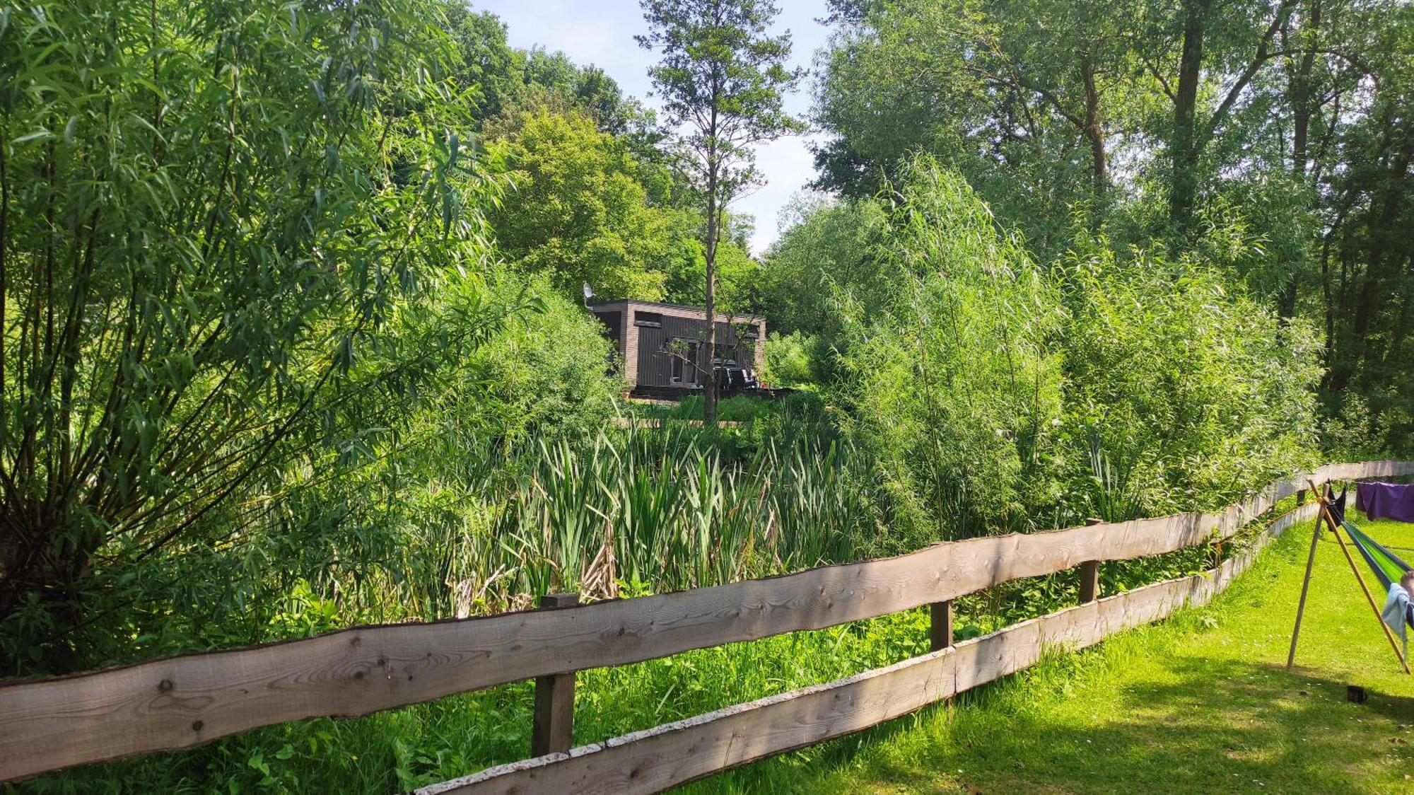 SalzhemmendorfTiny House 14 - Sollberg别墅 外观 照片